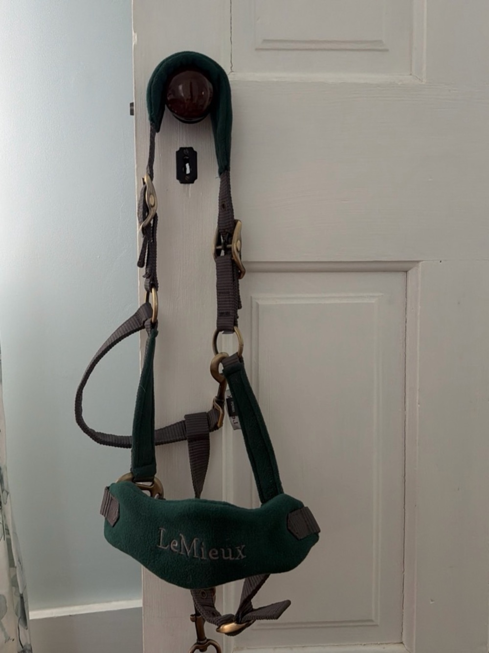 Horse Dark Green Halter and Lead Lemieux